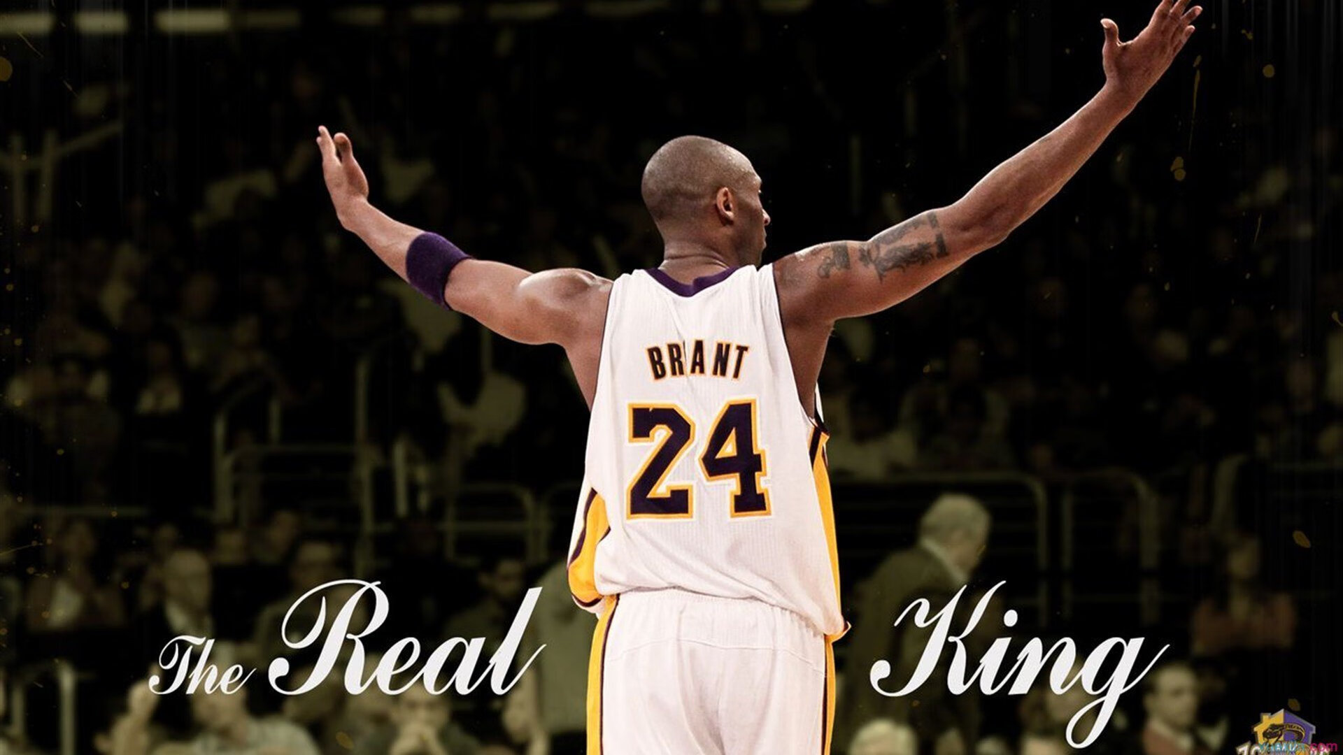 明日国王杯前瞻：梅德韦杰夫伤情更新，广厦男篮冲击逆转纪录